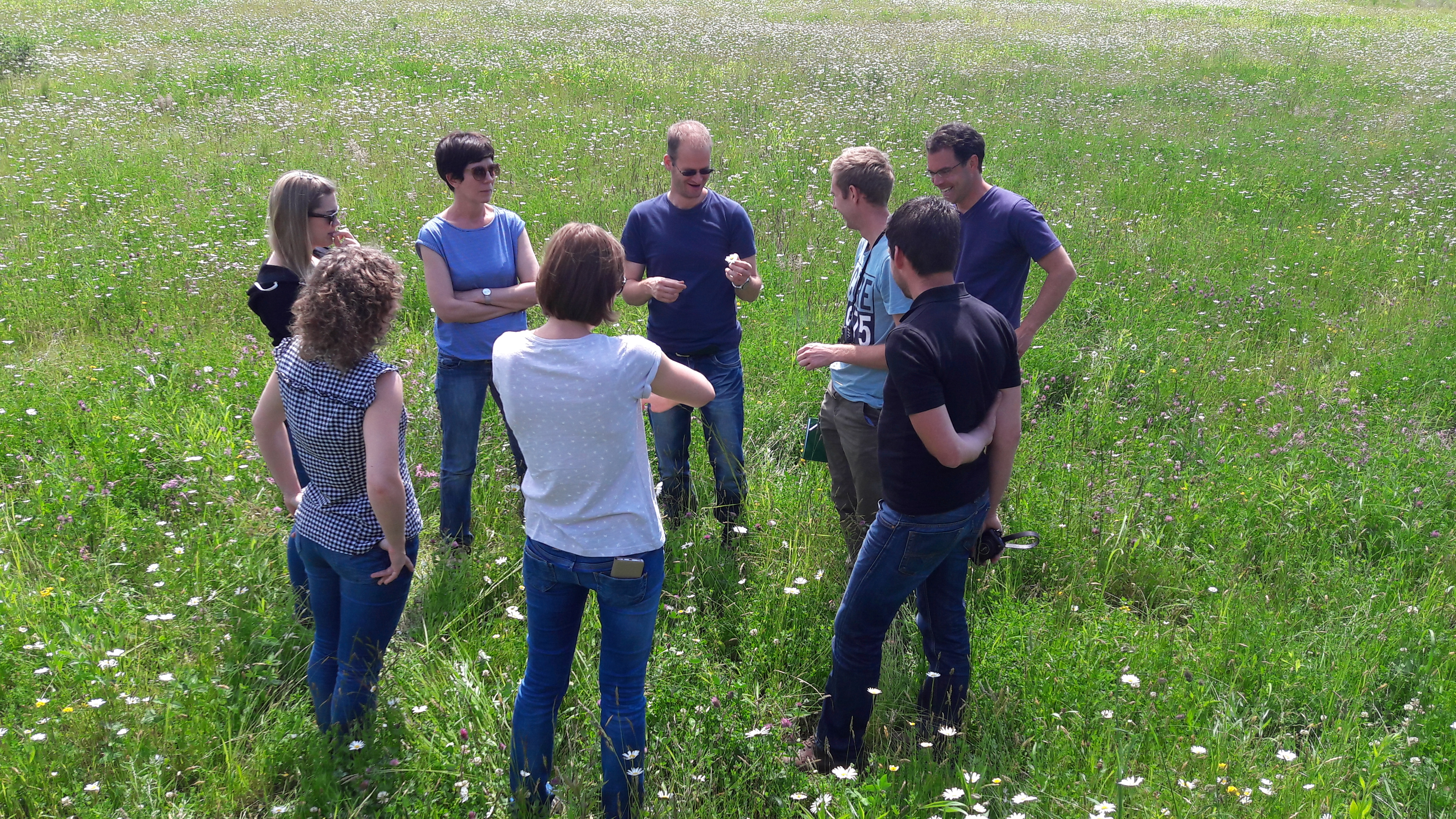 Das beteiligte Team steht auf einer der blühenden Ausgleichsflächen