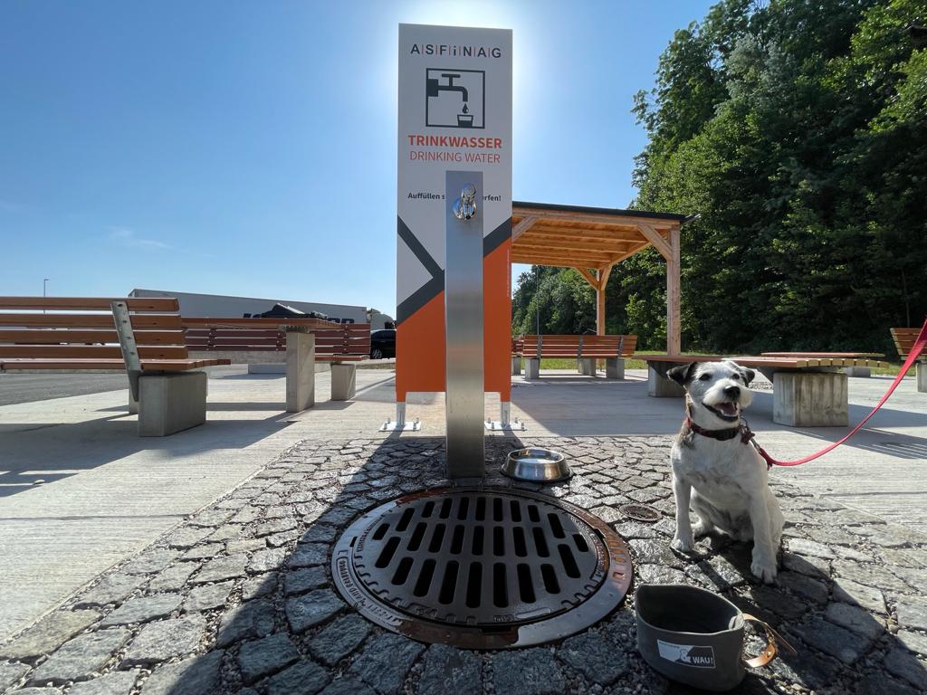 Ein Trinkwasserspender mit einem Hund daneben