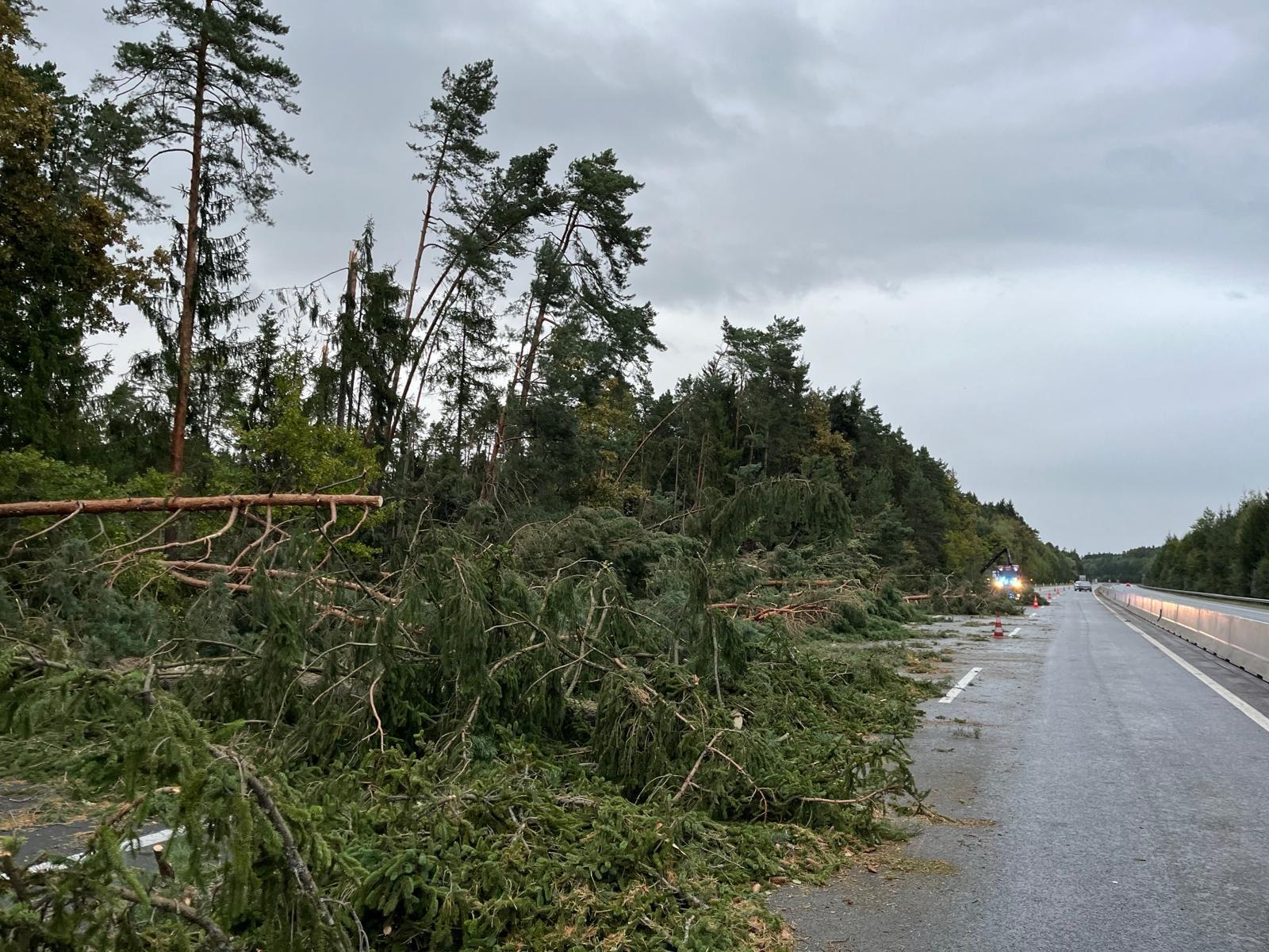 Umgeknickte Bäume und Muren auf der A 2 Süd Autobahn bei Bad Waltersdorf im September 2024.
